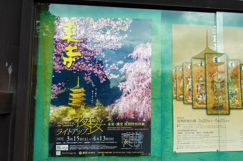 東寺 夜桜ライトアップ