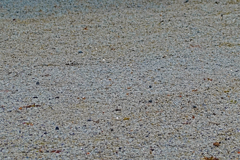 二の丸御殿 中庭　雲母