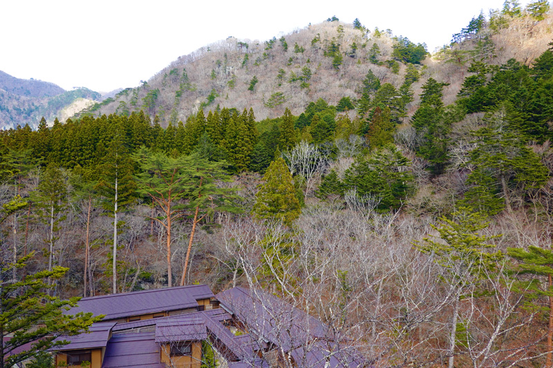 塩の湯温泉 蓮月