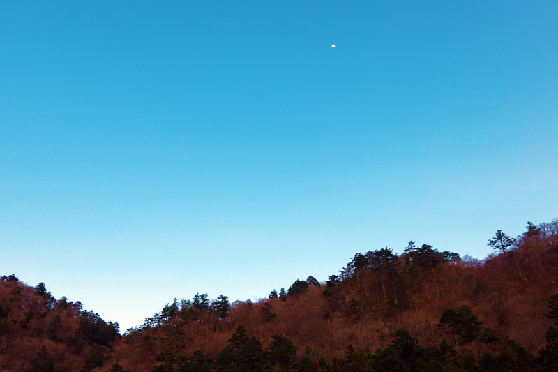 塩の湯温泉 蓮月