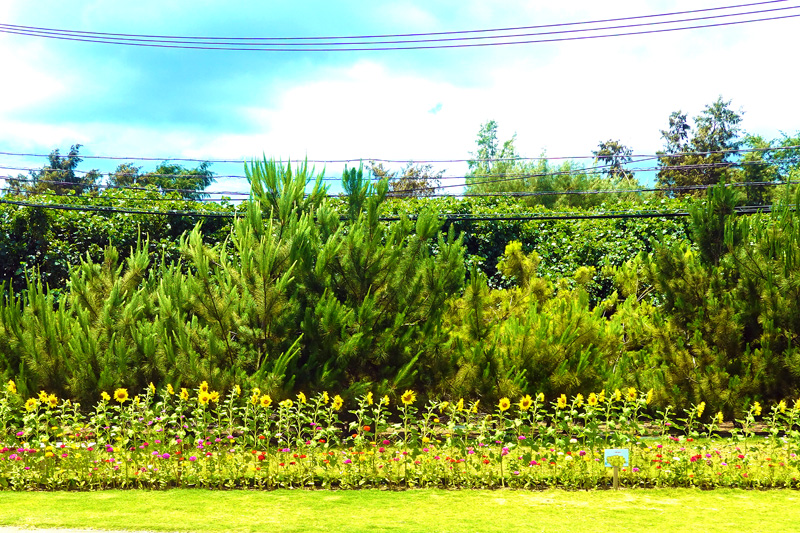 KINサンライズビーチ