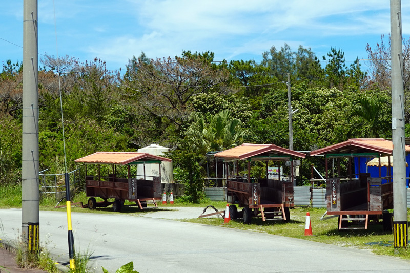 億首川 マングローブ林　牛車