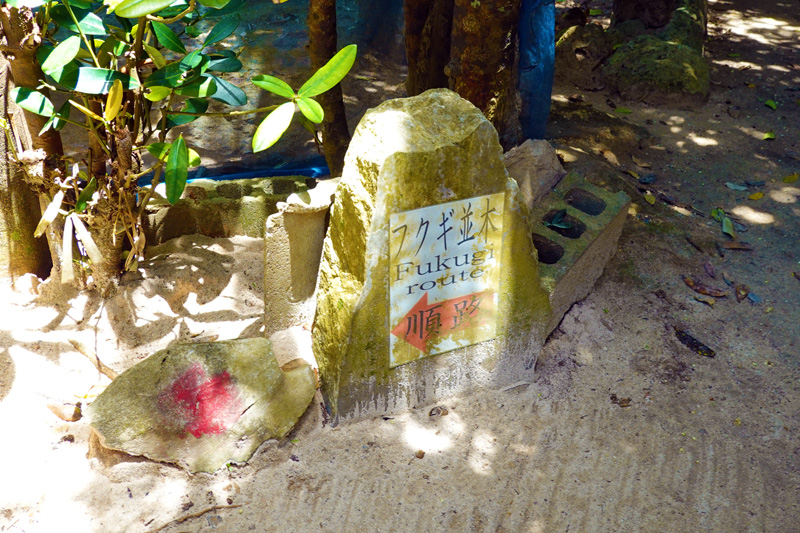 備瀬のフクギ並木