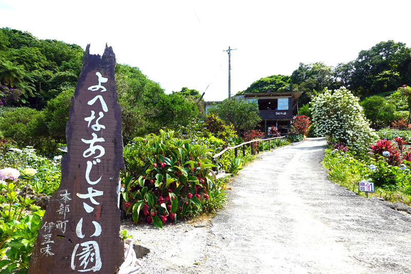 よへなあじさい園