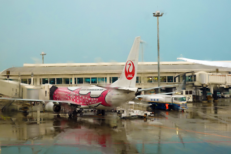 那覇空港　ジンベエジェット
