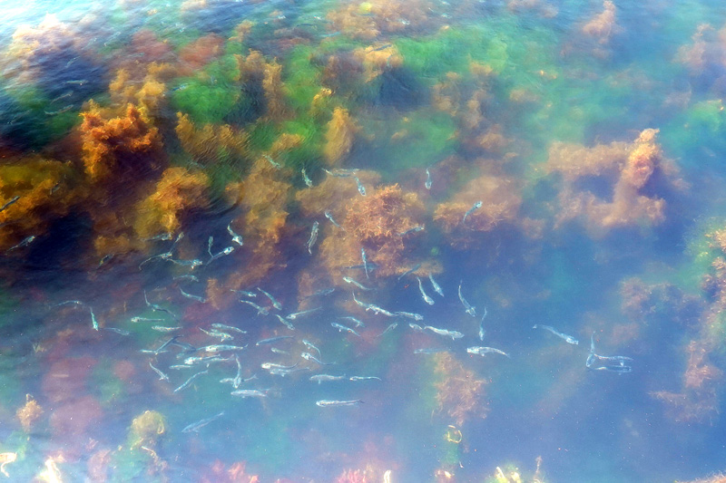 金森レンガ倉庫