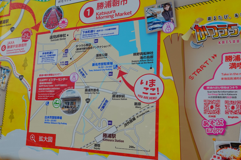 勝浦朝一　千葉県勝浦市