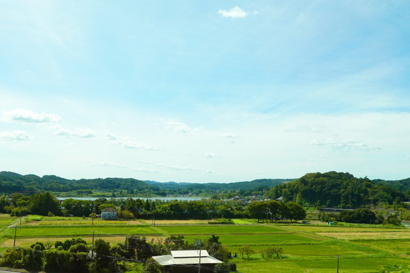 御食事処 いしい　勝浦タンタンメン　千葉県勝浦市