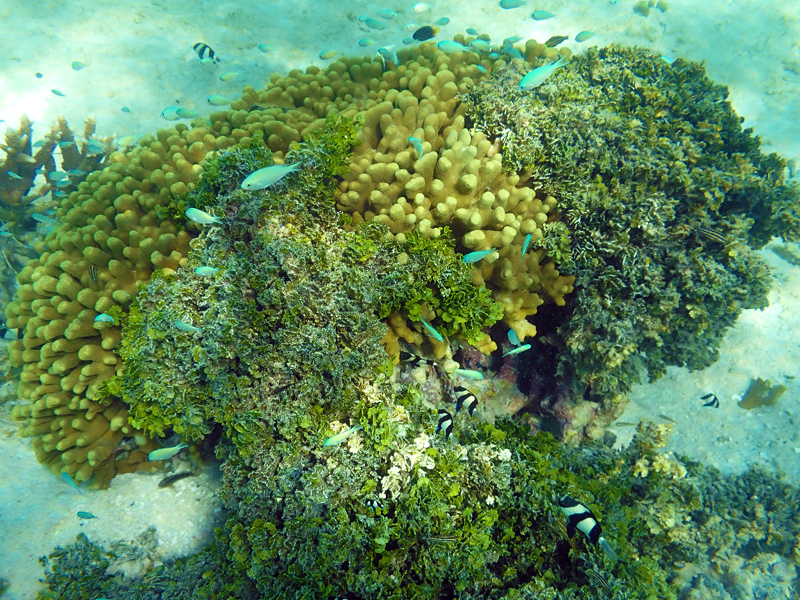 グアム　タモン湾