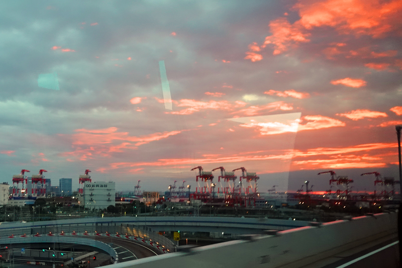 大井埠頭　海のキリン　ガントリークレーン