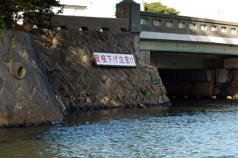 ぐるっと松江堀川めぐり（堀川遊覧船）低い橋