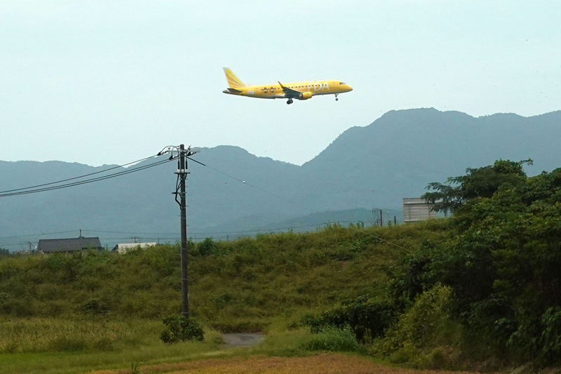 FDA　しまねっこ