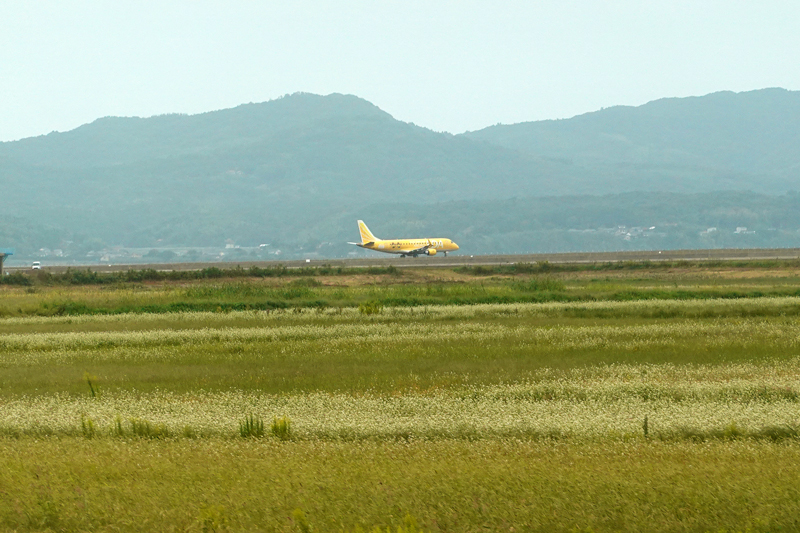 FDA　しまねっこ