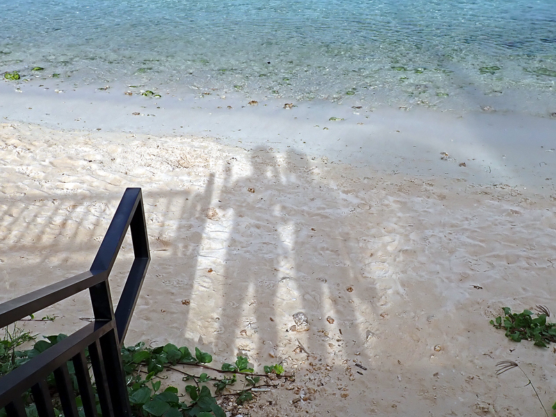 晴天のビーチで記念撮影する水着姿の二人