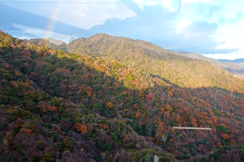 摩耶山 ロープウェーから見える紅葉の山肌