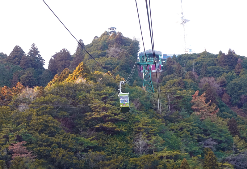 摩耶山 ロープウェーから見える紅葉の山肌
