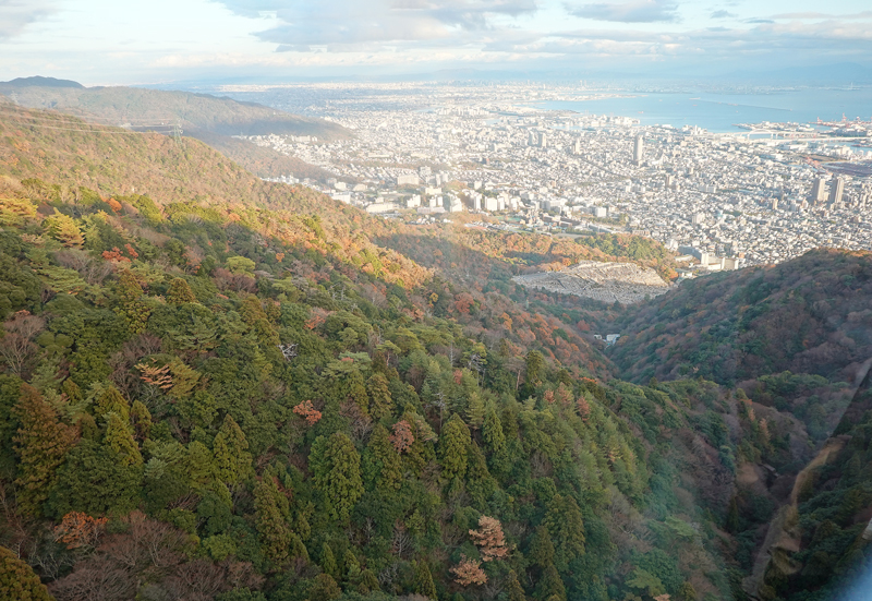摩耶山 ロープウェーから見える紅葉の山肌